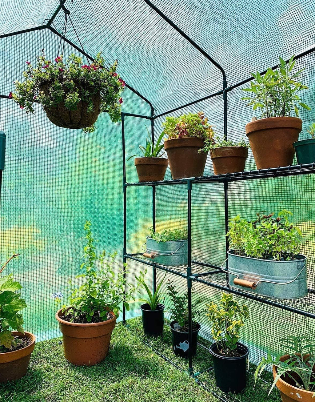 Walk-In Greenhouse for Outdoors, 57" x 57" x 76.8" Heavy Duty Plant Greenhouse with 12 Shelves, UV-Resistant PE Cover, Screen Windows, Portable Backyard Green House for Patio Garden