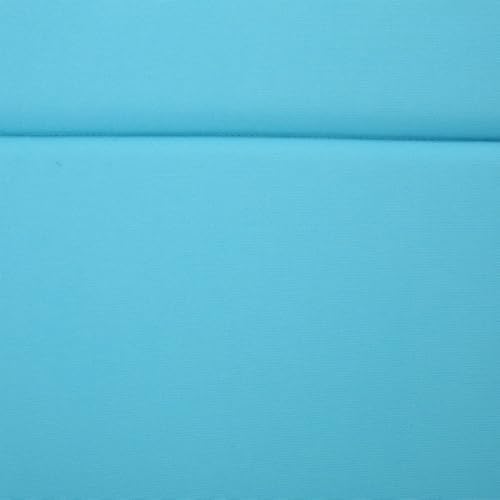 52005.00CUSH-CAR (2PCS) Salem Outdoor Chaise Lounge Cushion (Without Chaise Lounge) (Blue)