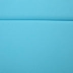 52005.00CUSH-CAR (2PCS) Salem Outdoor Chaise Lounge Cushion (Without Chaise Lounge) (Blue)