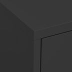 13.8x31.5x40 Steel Storage Cabinet, 2 Adjustable Shelves, Levelers, Matte, Tall Pantry/Bath/Kitchen Organizer