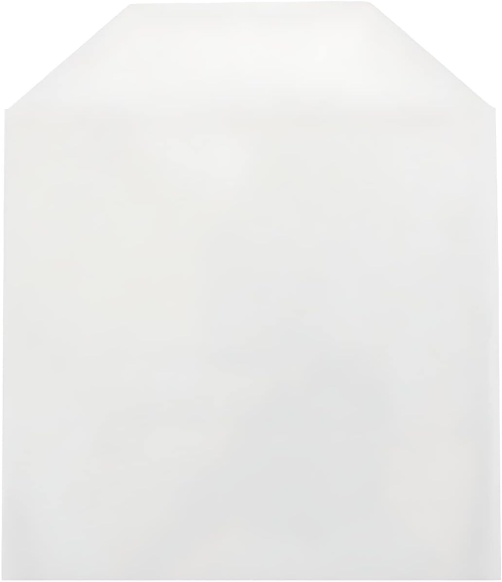 Mediaxpo 100 CPP Clear Plastic Sleeve with Flap (No Stitches) (Pack of 100)