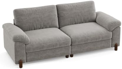 SITJOY Cloud Couch Sectional, 2 Seater Loveseat Chenille in Light Gray | Detachable and Washable Cover, Sectional Sofas for Living Room, Deep Seat Wide Couch