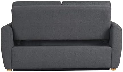 Serta Galway 66.5" Convertible Sleeper Loveseat, Full Size, Dreamcoil Comfort, FingerGuard Pinch Point Protection, Boucle Fabric, Charcoal