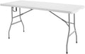 Romig Trestle 5 ft Folding Table, Blow Mold Plastic Top, Fold-in-Half with Carry Handle, Heavy-Duty Steel Frame, 60 x 29 x 29, White