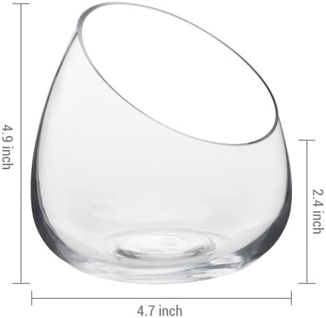 MyGift 5 Inch Premium Clear Glass Air Plant Terrarium, Tealight Candle Holder, Succulent Cactus Plant Vase, Set of 4