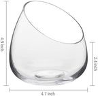 MyGift 5 Inch Premium Clear Glass Air Plant Terrarium, Tealight Candle Holder, Succulent Cactus Plant Vase, Set of 4