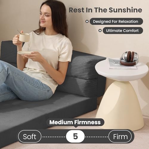 JUIKURY Folding Sofa Bed, Convertible Sleeper Chair with Pilow Foldable Matress, 2 in 1 Pull Out Loveseat Sofa Portable Fold Out Chair Bed Floor Couch Lounge for Living Room Bedroom (Grey, Queen)