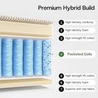 Convertible 4-in-1 Folding Sofa Bed Sleeper Chair Couch Foldable Chaise Lounger & Mattress Pocket Coils+Foam Fill Medium Support, No Assembly for Living Room/Bedroom, Twin Beige