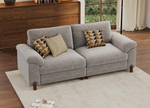 SITJOY Cloud Couch Sectional, 2 Seater Loveseat Chenille in Light Gray | Detachable and Washable Cover, Sectional Sofas for Living Room, Deep Seat Wide Couch