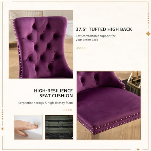 Velvet Dining Chairs Set of 4, Tufted Upholstered High Wingback Chairs with Nailhead Trim & Pull Ring, Silver Stainless Steel Legs for Dining Room, Sillas de Comedor, Purple