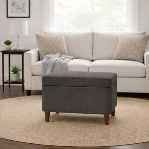 Spatial Order Home Decor | Dinah Collection Modern Storage Ottoman | Ottoman with Storage for Living Room & Bedroom (Cool Light Gray)
