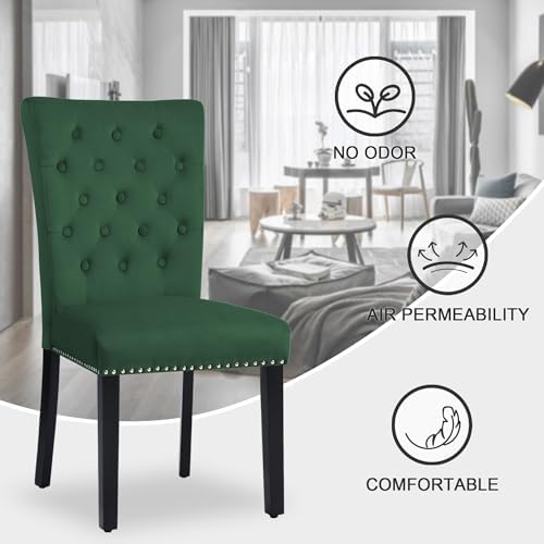adochr Velvet Dining Chairs Set of 4, Parsons Kitchen Chair, Green | Wooden Legs & Nailed Trim, Upholstered Dining Room Chairs 350 LBS Capacity