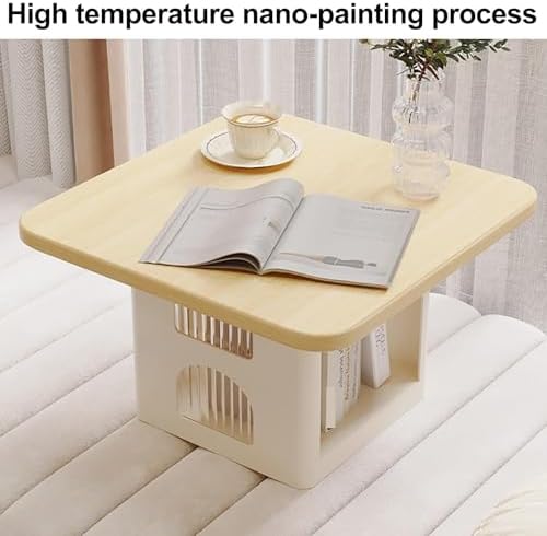 Black Floor Table with Storage - Heavy Duty Sofa Side Table, Low Accent End Table for Living Room & Balcony, Stylish & Functional Storage Solution