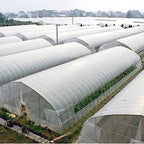 SUNVIEW Greenhouse Clear Plastic Film Polyethylene Covering Gt4 Year 6 Mil 12ft. X 25ft.