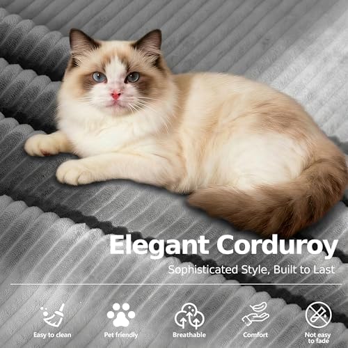 MoonSpeak 78.8'' Futon Sofa Bed, Couches for Living Room | Corduroy Convertible Futon Sofa Bed with Storage Pocket, Modular Sleeper Couch in a Box, No Assembly (Gray)