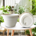 Plant Pots Set of 5, 10" Outside Diameter Flower Pots, 8.5" Inner Diameter Plant Planters with Drainage Hole, Durable Garden Pots Perfect for Indoor & Outdoor Plant Planting, Decor, White