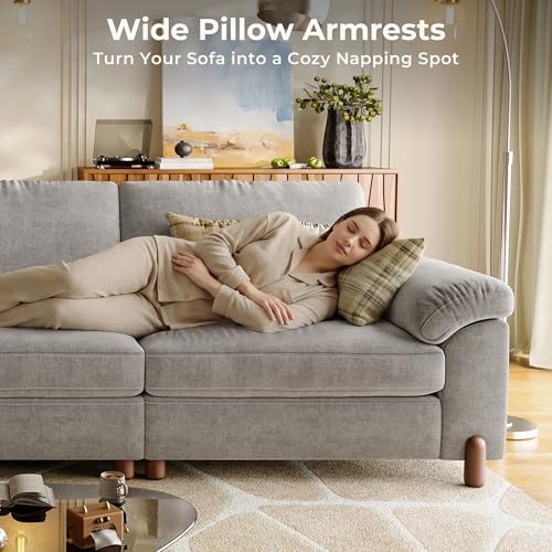 SITJOY Cloud Couch Sectional, 2 Seater Loveseat Chenille in Light Gray | Detachable and Washable Cover, Sectional Sofas for Living Room, Deep Seat Wide Couch