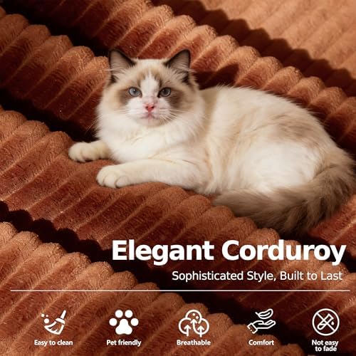 MoonSpeak 78.8'' Futon Sofa Bed, Couches for Living Room | Corduroy Convertible Futon Sofa Bed with Storage Pocket, Modular Sleeper Couch in a Box, No Assembly (Rust Red)