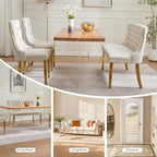 Beige Velvet Dining Bench with Back, Tufted Banquette Seating, Gold Legs | Upholstered loveseat bench; tufted back; nailhead trim; 500 lb capacity; foam and spring seat; dining room or entryway