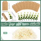 Crtiin 8 Pack Gift Boxes with Lids, 8x8x4 Inch Forest Green Bridesmaid Proposal Gift Box with Shredded Paper, Twine, Tags & Eucalyptus Leaves for Presents, Wedding, Birthday, Christmas, Baby Shower