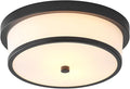 12 inch Flush Mount Ceiling Light, 2-Light Close to Ceiling Light Fixtures with Black Finish for Bathroom Bedroom Kitchen Hallway (Black)