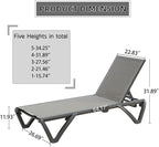 Domi Pool Lounge Chairs, Aluminum Patio Chaise Lounge Set of 2, 5 Position Adjustable Backrest and Wheels, All Weather Outdoor Lounge Chairs for Beach, Yard, Balcony, Poolside, Gray