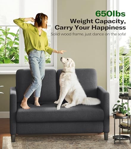 Welzona Loveseat, 51" Small Couch, Teddy Love Seat, Small Loveseat Sofa | Comfy Teddy Fabric, Tool-free Setup, Washable Covers, All-wood Small Sofa Couch for Living Room, Bedroom, Small Spaces, Grey
