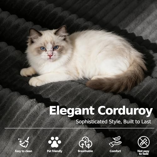 MoonSpeak 78.8'' Futon Sofa Bed, Couches for Living Room | Corduroy Convertible Futon Sofa Bed with Storage Pocket, Modular Sleeper Couch in a Box, No Assembly (Black)