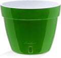 Santino AST 10.6 Inch Self Watering Planter Green-Gold/White for Indoor Plants - Premium Quality Plastic Pot with Water Level Indicator for All House Herbs, Plants, African Violets and Dahlias
