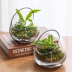 MyGift 5 Inch Premium Clear Glass Air Plant Terrarium, Tealight Candle Holder, Succulent Cactus Plant Vase, Set of 4