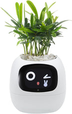 Smart Pet Planter, Smart Plant Pot, With Artificial Intelligence, Time Weather Display, And Multiple Expressions Animation,Lovely Plant Companion, For Desktop Decoration, Gifts,Plant-Free (White)