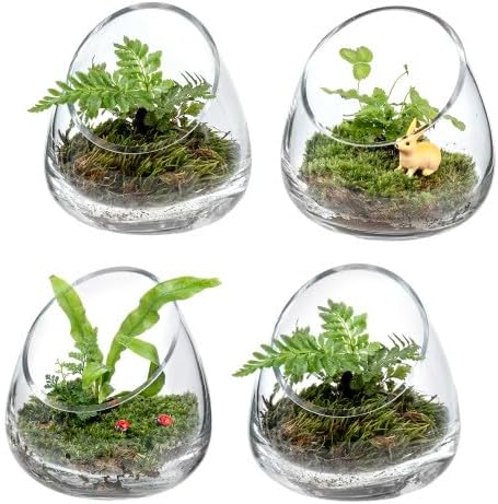 MyGift 5 Inch Premium Clear Glass Air Plant Terrarium, Tealight Candle Holder, Succulent Cactus Plant Vase, Set of 4