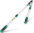 Heavy Duty Anvil Lopping Shears -2 inch Cutting Capacity Bypass Lopper - Extendable 26 Inch to 41 Inch,Professional Tree Branch Cutter