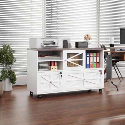 2 Drawer Farmhouse File Cabinet with Lock, Mobile Lateral Filing Cabinet for Letter/Legal/A4 Size, Open Storage Adjustable Shelf for Home Office Cabinets,White
