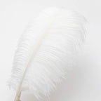 Ballinger Large White Ostrich Feathers - 24Pcs 12-14inch Large Feathers for Vase,Party Centerpieces,Wedding and Home Decor
