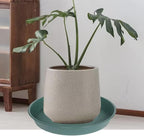 3 Pack of 25 26 inch Plant Saucer (22.7 Inch Base), 4.2" Depth, Large Deep Plastic Flower Planter Water Trays for Indoors Outdoor Bath Bath, Plant Drip Trays for Pot (26", Green)
