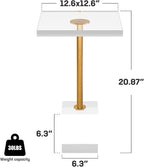 Acrylic Side Table, Acrylic End Table for Living Room Bedroom, Square Modern Side Tables with Brushed Brass Metal Support, Small Clear Drink Table/Nightstand (2pcs)