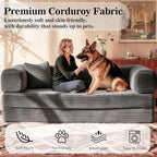 AUGOP Futon Sofa Bed Couch for Living Room,Pull Out Couch with Sleeper Sofa,Day Bed Couch with Storage Pocket,Removable Corduroy with 2 Pillow