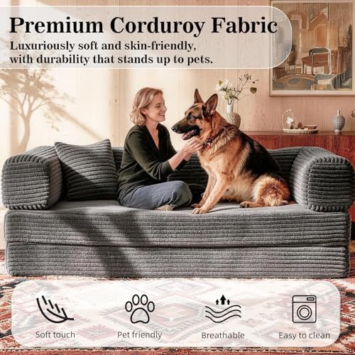 AUGOP Futon Sofa Bed Couch for Living Room,Pull Out Couch with Sleeper Sofa,Day Bed Couch with Storage Pocket,Removable Corduroy with 2 Pillow