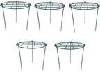12 x 16 inch Poeny Cage Grow Through Grid Plant Brace Flower Support Rings, Pack of 5 Round Metal Plant Stakes Rings, Strong Large Garden Supports for Flowers, Peonies, Rose, Lily
