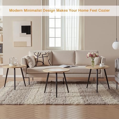 VECELO Modern Side Table, Round Small End Table, Exclusively Designed Hand-Crafted Small Nightstand, Solid Wood,Oak top with Black Metal Legsfor Bedrooms, Living Rooms, 2-Pack