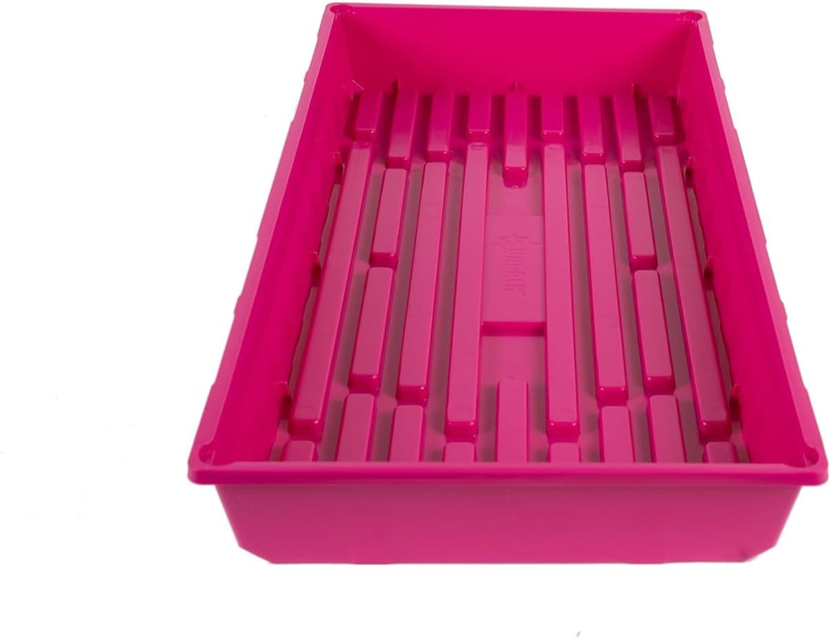 SUNPACK 10" x 20" Mega Plastic Seed Starting Tray, Magenta, 2.5" - No Drainage Holes, Ideal for Greenhouses or Indoor Gardening - Made of Thick, Strong Plastic