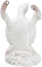 Ebros Gift Nautical Coastal Dancing Antique White Sea Turtle Wine Bottle Holder Caddy Figurine 7.5" High Home Kitchen Decorative Storage Organizer Turtles Terrapins Tortoises Decor