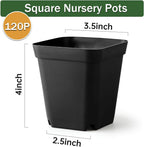 Small Plant Pots 3.5 Inch, 120 Pcs Nursery Pots with Drainage Holes, Durable Plastic Succulents Pots for Seedlings, Cuttings (Black)