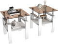 Set of 2 Glass End Table, 2-Layer Glass Living Room Table, Modern Tea Table Side Tables for Home Office Furniture