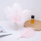 24pcs Natural Light Pink Ostrich Feathers 10-12inch (25-30cm) for Wedding Party Centerpieces，Flower Arrangement and Home Decoration.
