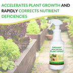 Organic Broad-Spectrum Plant Spray - Foliar Liquid Plant Food in a Spray Bottle for Outdoor Vegetables, Herbs & Flowers | Infused with Soil Enriching Microbes | 32oz, Ready to Use, No Mixing Required