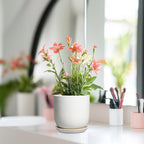 Indoor Plant Pot 5 Inch - Round Ceramic Planter for Succulent Plants with Drainage Hole and Saucer, Modern Home Decor, White