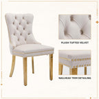 Velvet Dining Chairs Set of 4, Tufted Upholstered High Wingback Chairs with Nailhead Trim & Pull Ring, Golden Stainless Steel Legs for Dining Room, Sillas de Comedor, Beige