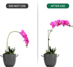12 Pack Plant Support Stakes with 24 Pcs Plant Clips, Garden Single Stem Support Stake, Plant Cage Support Ring for Indoor Outdoor Flowers Rose Amaryllis Tomatoes Peony Lily Orchid (16 Inch)